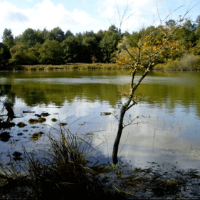 Domaine de Buisson Havre