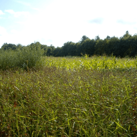 Domaine de Buisson Havre