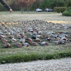 Domaine de Buisson Havre