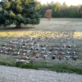 Domaine de Buisson Havre