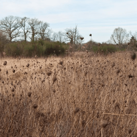 Domaine de Buisson Havre